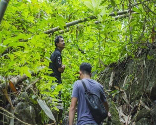 Full Day Waterfall Hike and Explorer Level with Lunch