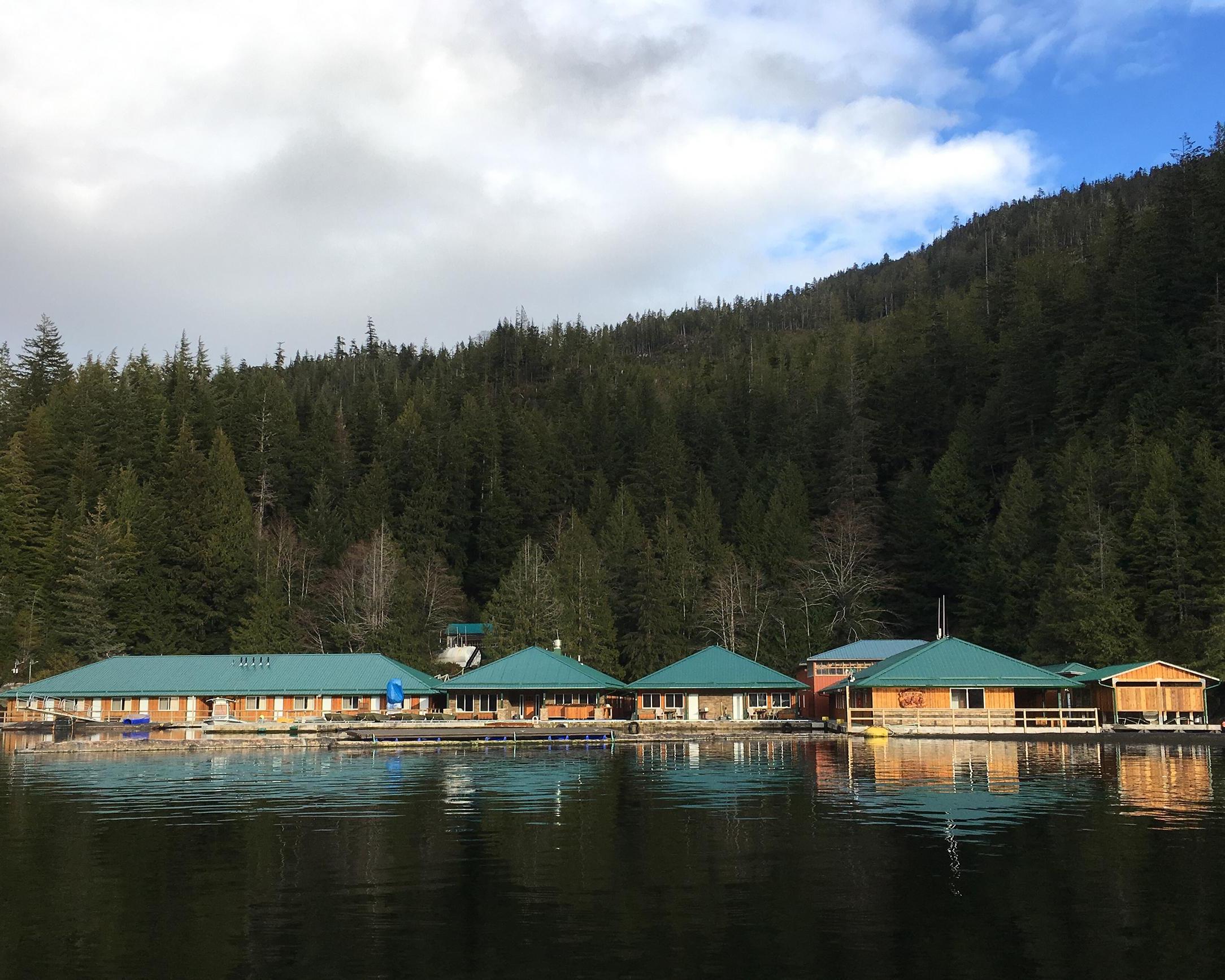 Grizzly Bear and Wildlife Watching, Knight Inlet Lodge 3 dagen