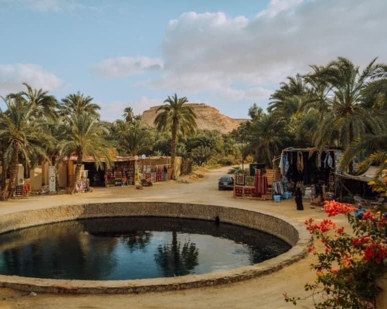 2-dniowa wyprawa do Oazy Siwa z Kairu