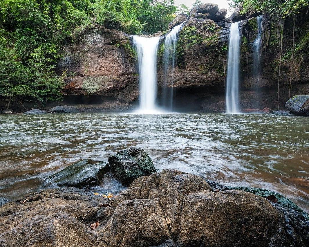 Wildlife Viewing with Trekking Tour (Private)