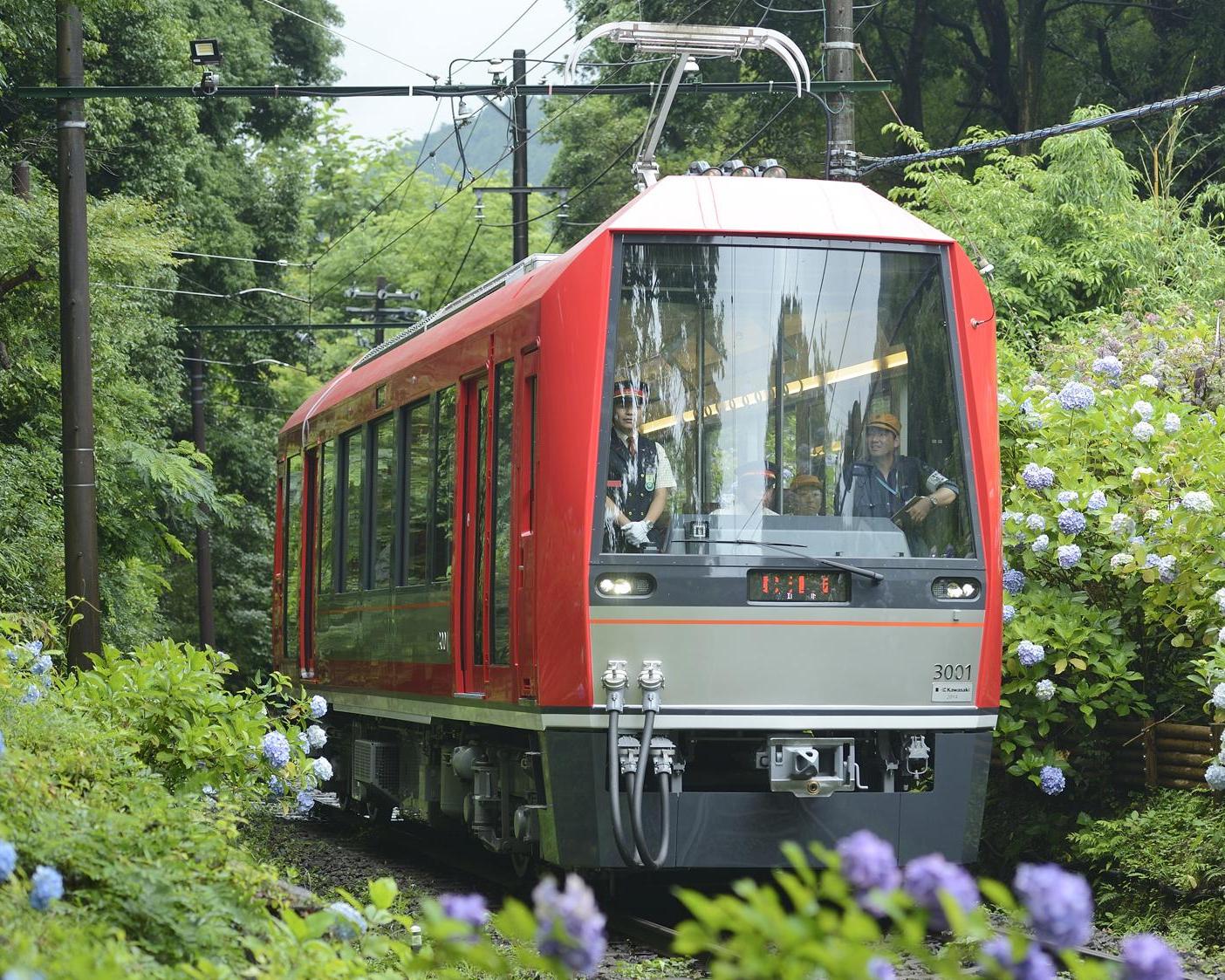 Odawara - Hakone free pass (2 days or 3 days) 