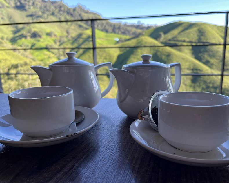 Full Day Discovery by Jeep of Cameron Highlands