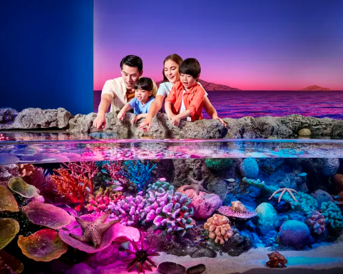  1 Iunie - Descopera cu familia Bangkok & Koh Samui, Thailanda