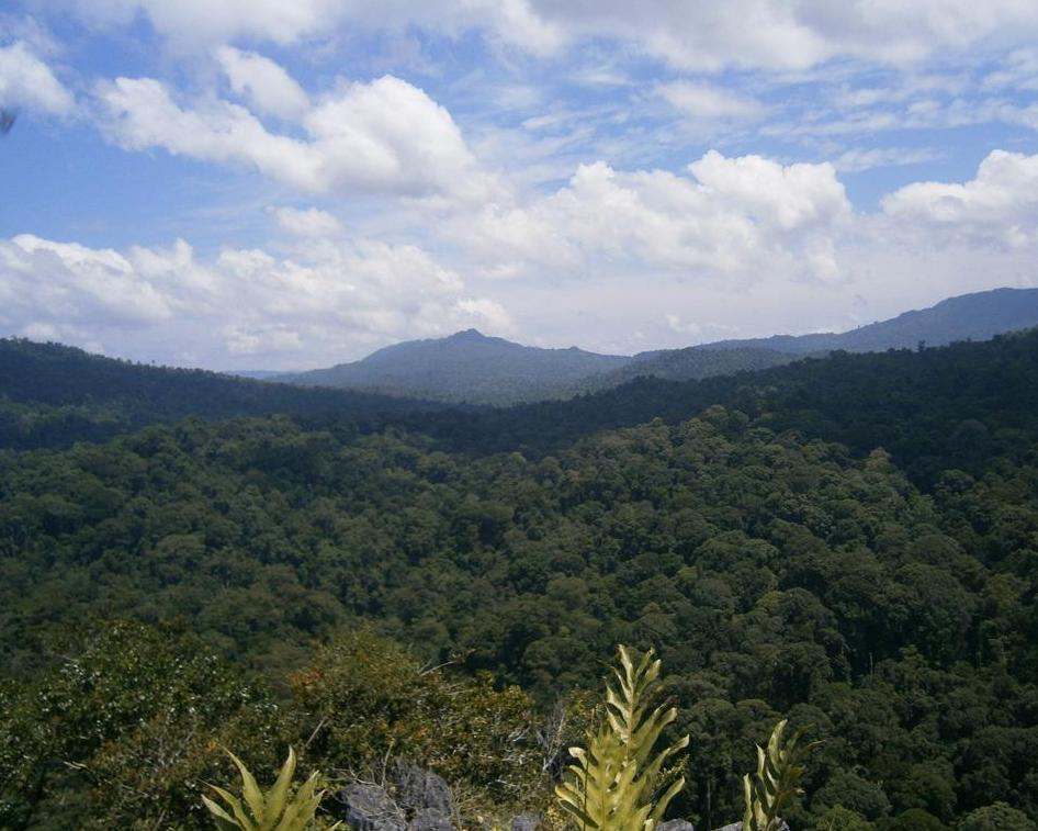 Der Norden Borneos Kurztour