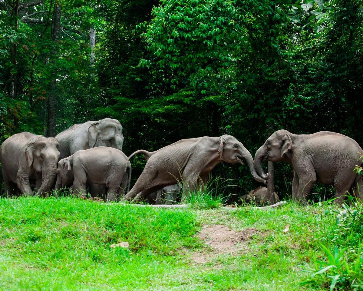 Wildlife Viewing with Trekking Tour (Private)