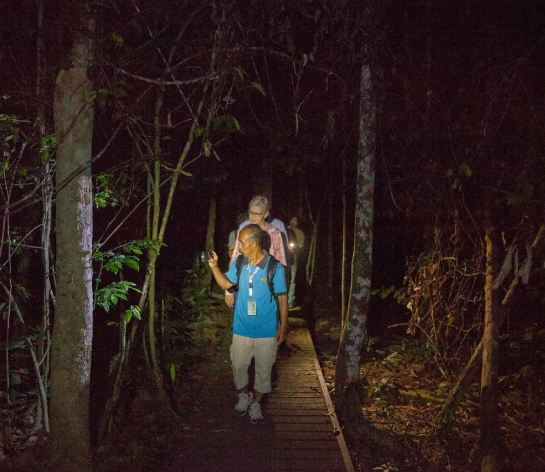 Night Jungle Walk by Mutiara Taman Negara