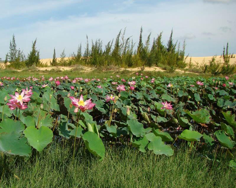 Mui Ne Jeep Safari with Bau Trang Excursion