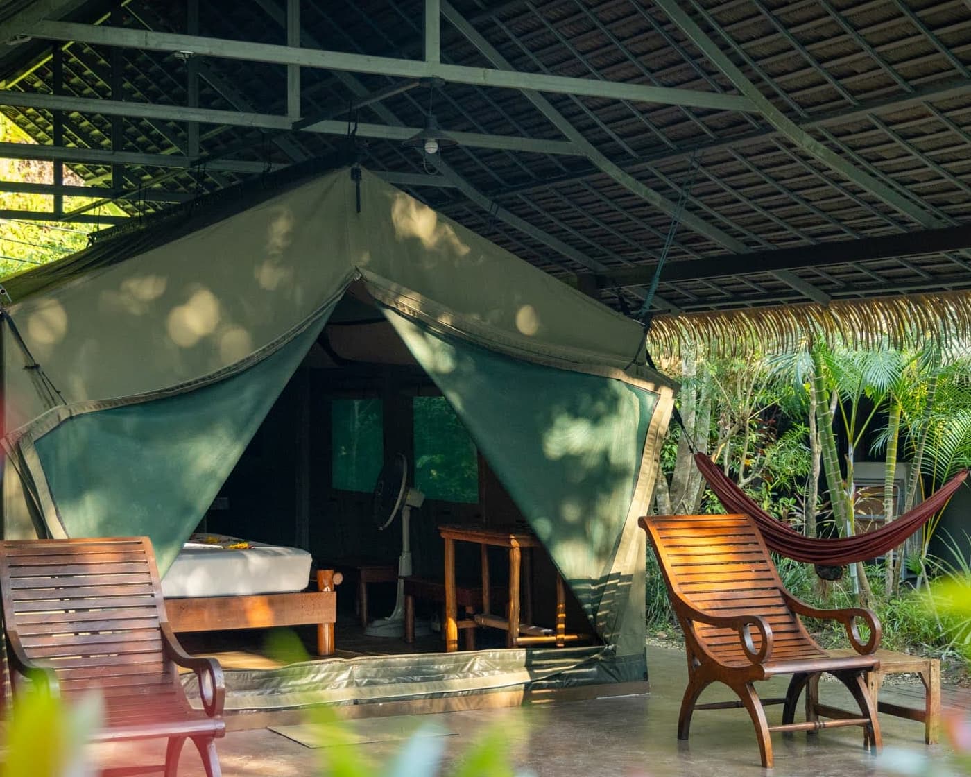 3 Days Jungle & Lake Camp Safari — 11