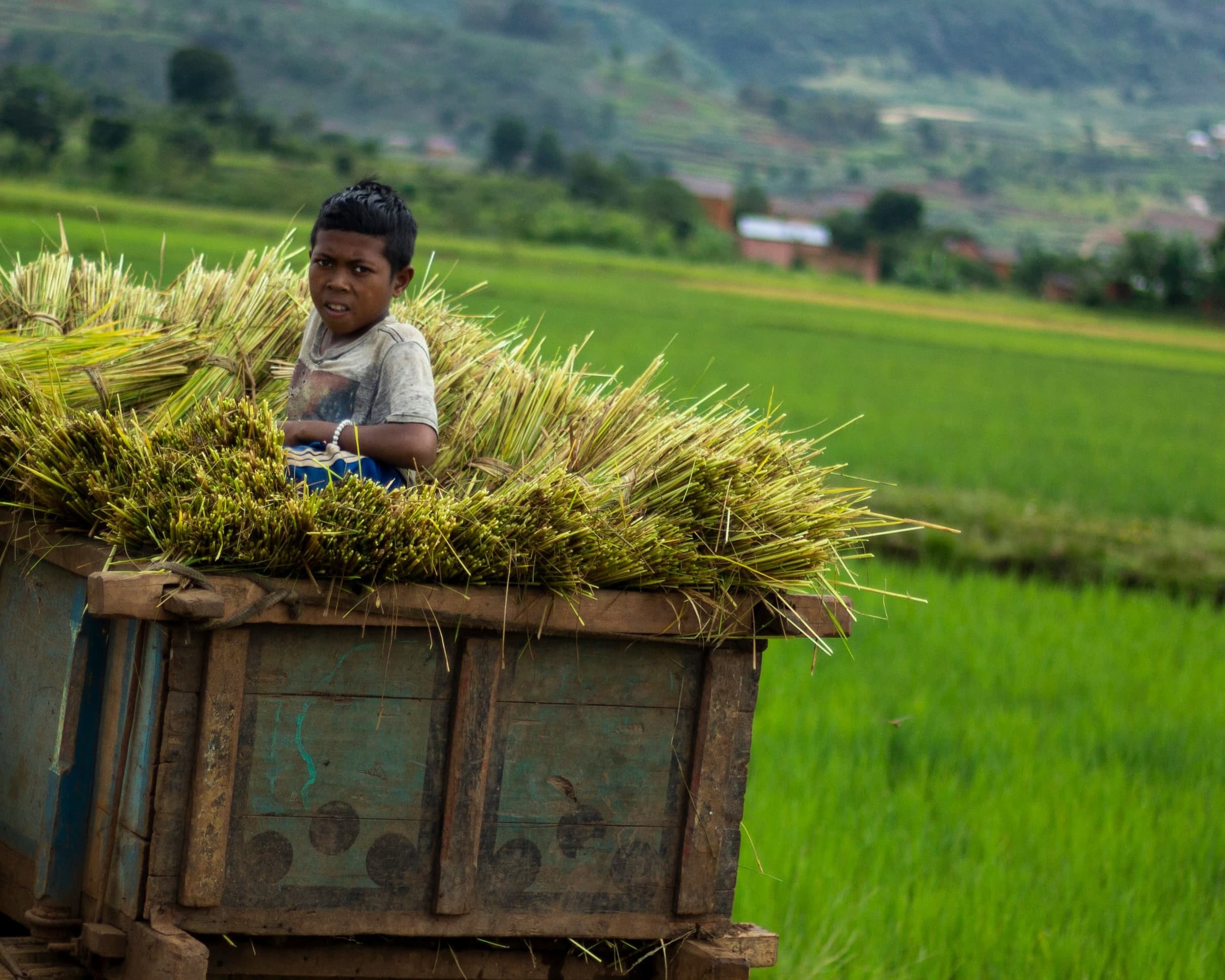 Getting to Know Madagascar's People and Lemurs - 14 Days