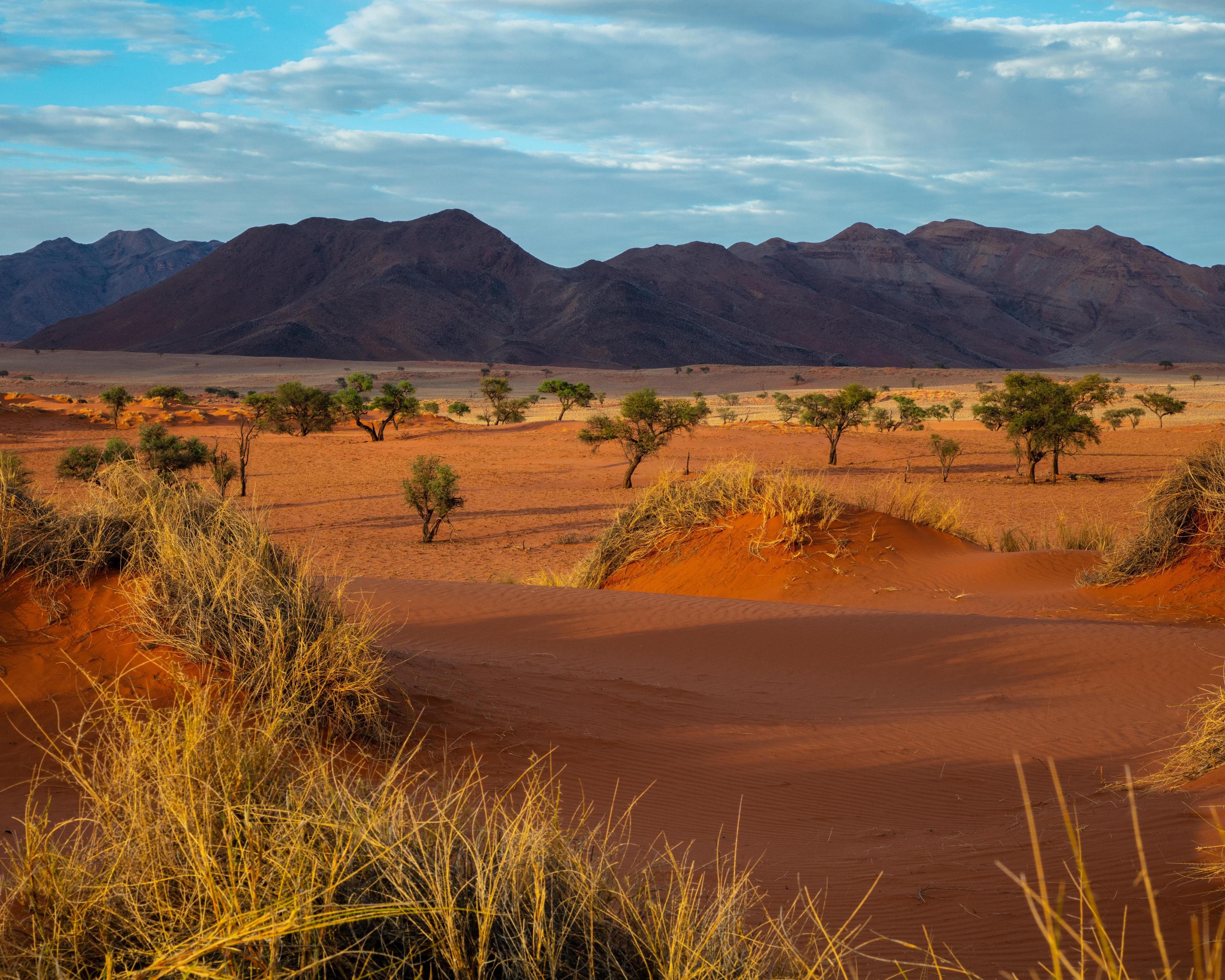 Camping Safari "11 Tage durch Namibia"