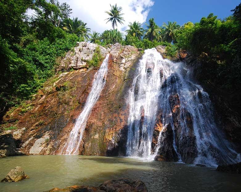Jungle Safari Tour 4x4 - Shore Excursion (Private Tour)