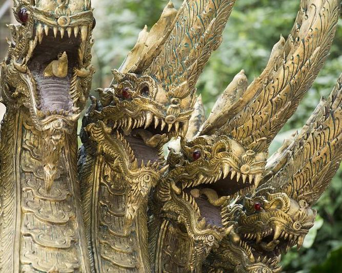 Thailand’s Golden Triangle and Village Life (Private)