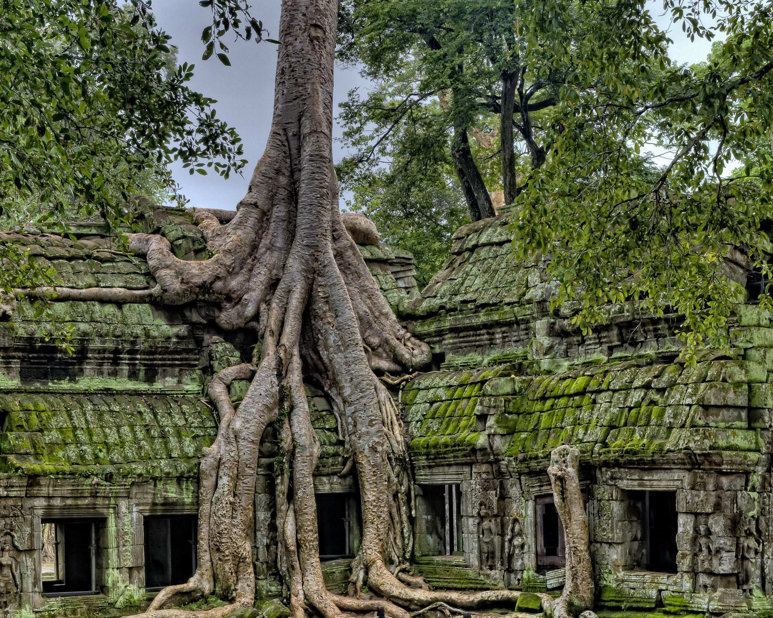 Full Day Tuk-Tuk Tour of Angkor 