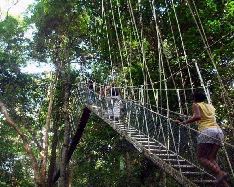 Taman Negara Jungle Experience Kurztour
