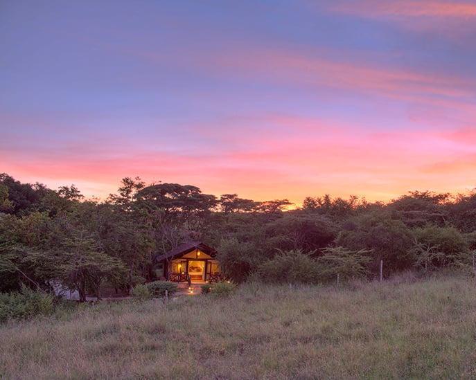 Masai Mara, Aberdare und Naivasha Nationalpark Safari