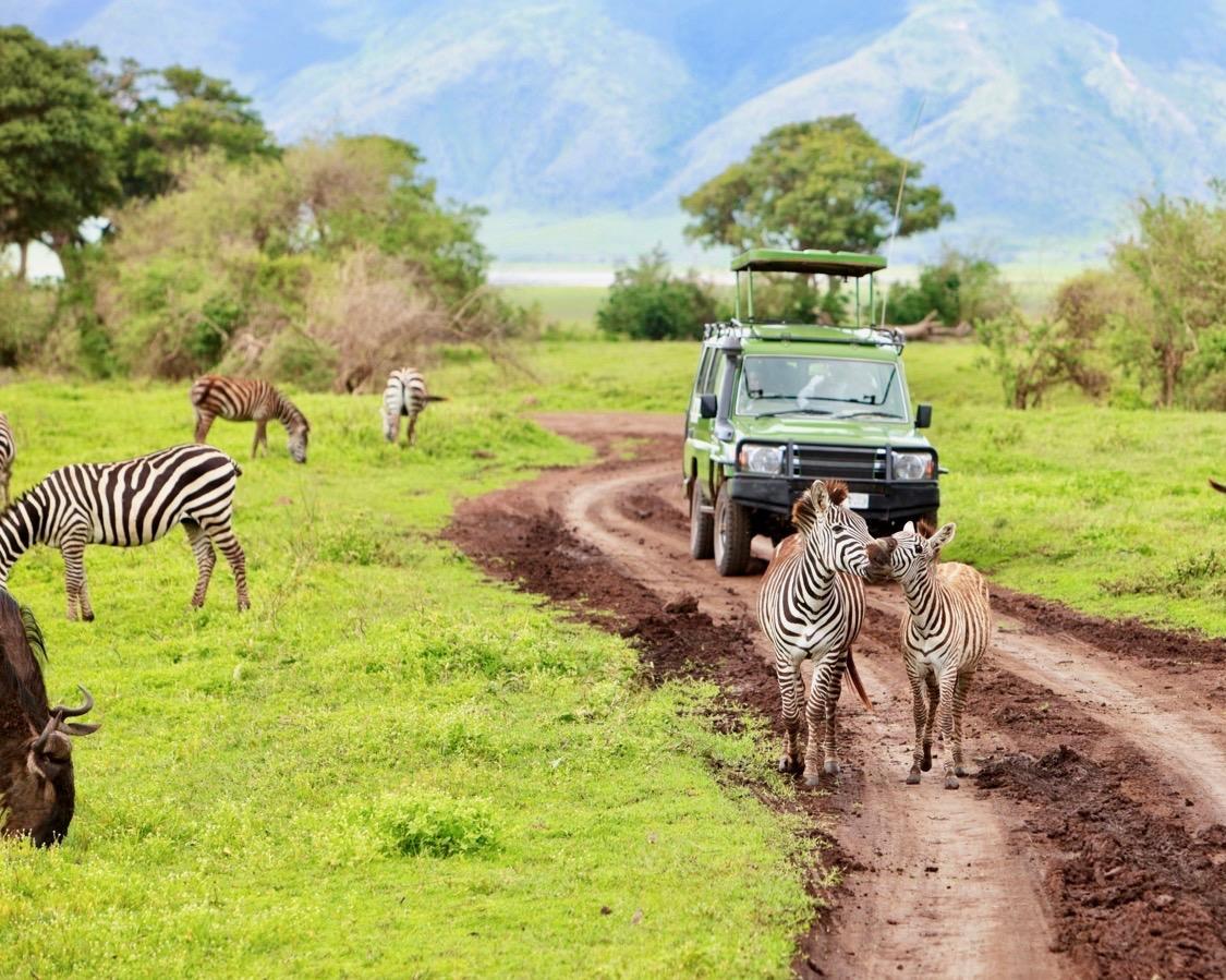 Safari "4 Tage Serengeti & Nationalparks" (inkl. Flug ab/bis Sansibar)