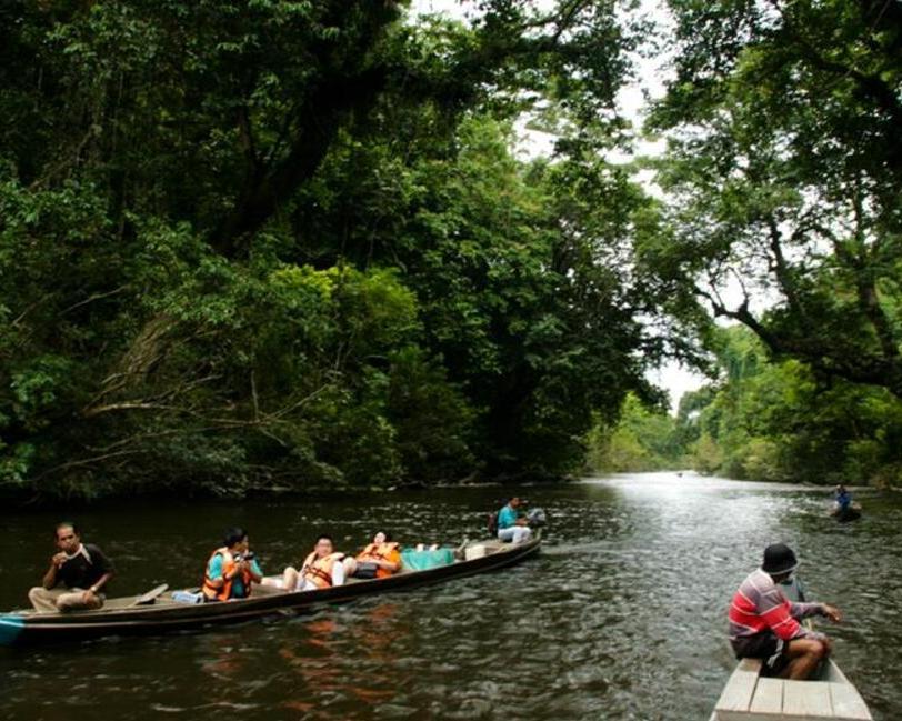 Kurztour "Taman Negara Jungle Experience"