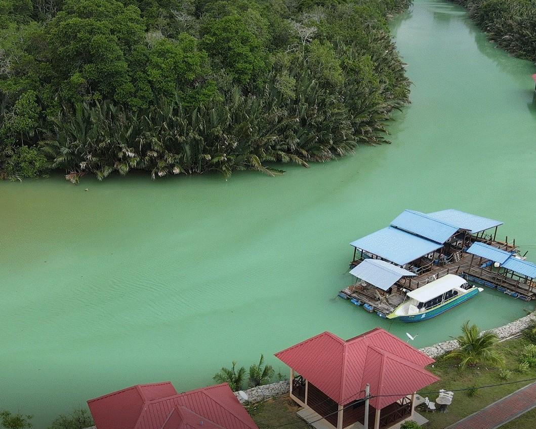 Sungai Lebam River Cruise