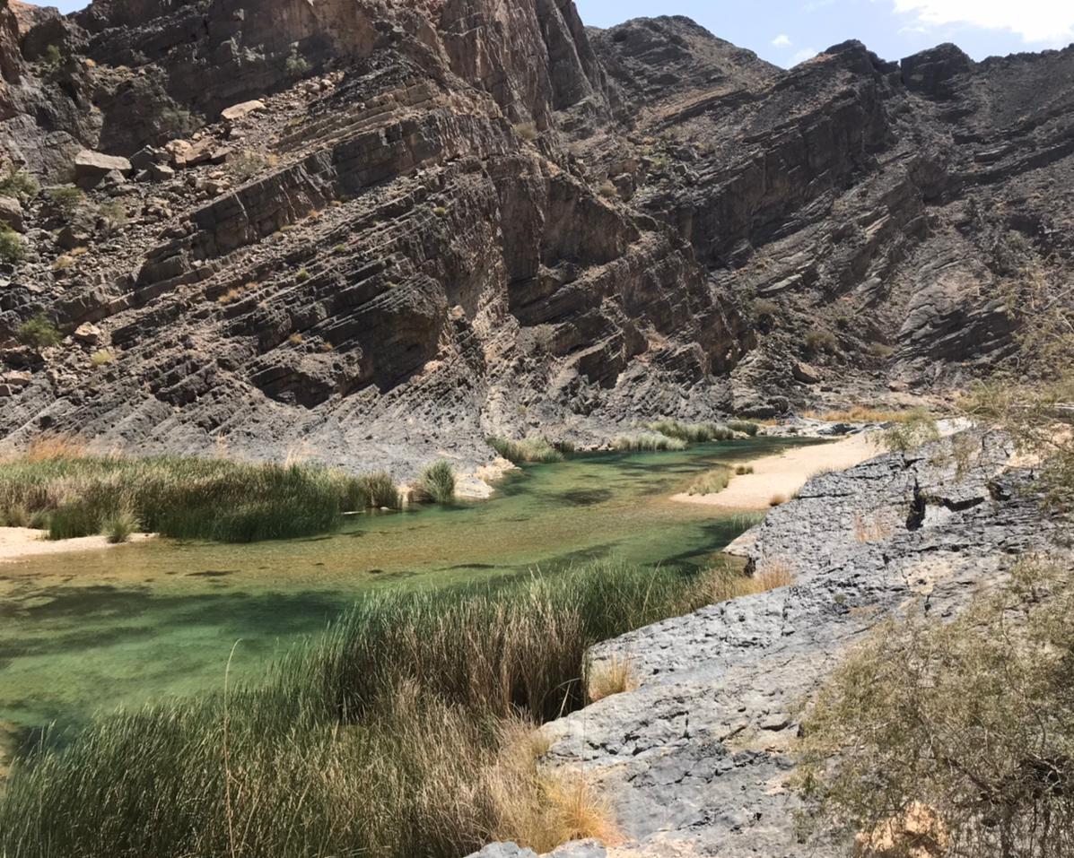 Main tour image for Wadi Arbayeen & Wadi shab - Full day - 4x4 tour