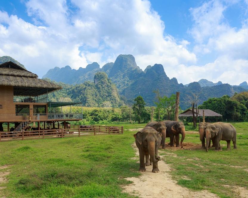 Elephant Hills Jungle Safari (1N ab/bis Phuket)