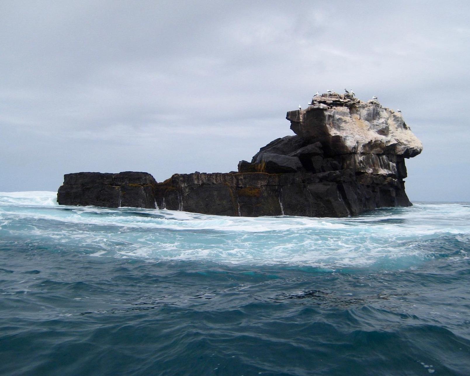 Naturparadies Galápagos Gruppentour
