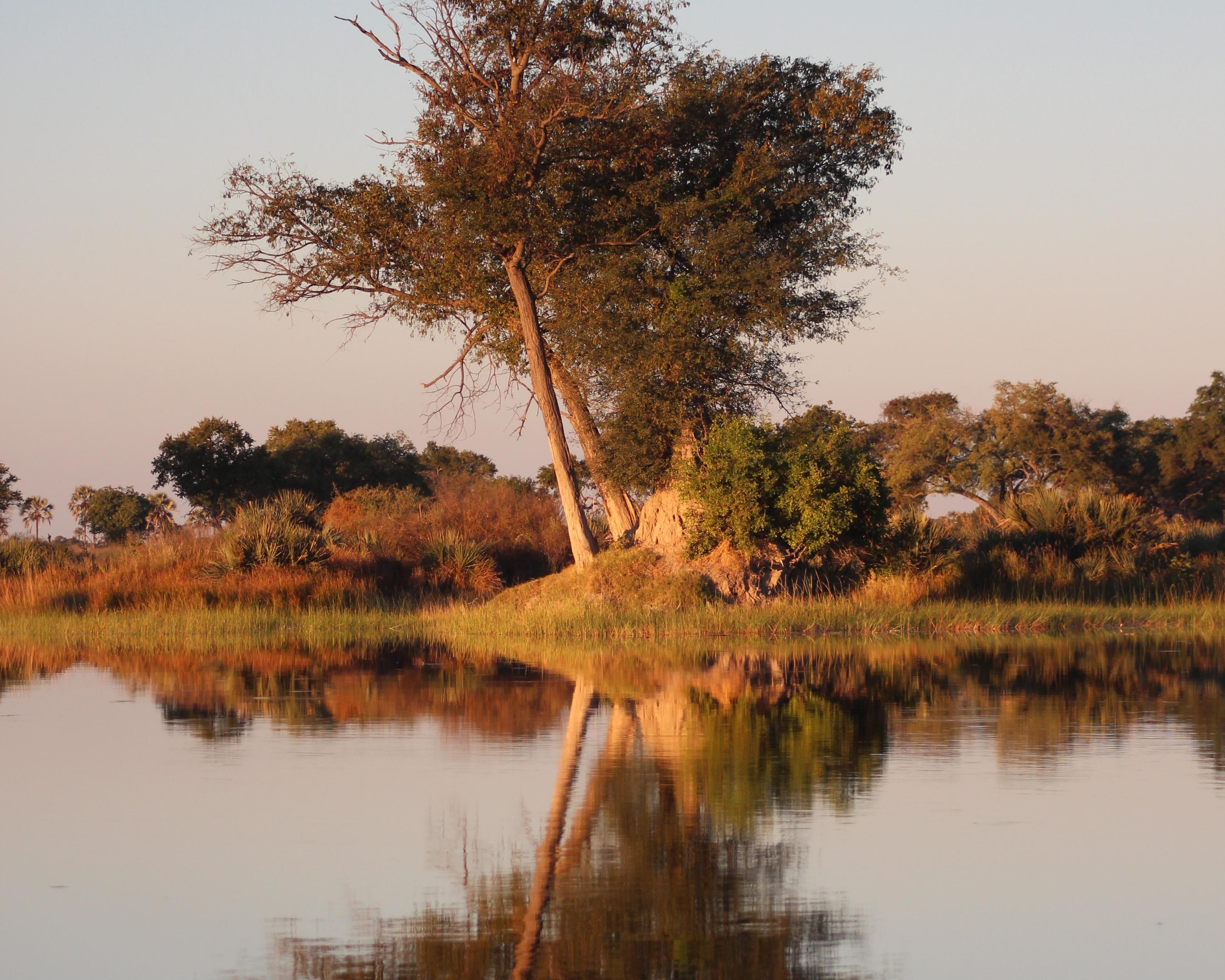 Safari "Von Namibia über Botswana nach Simbabwe"