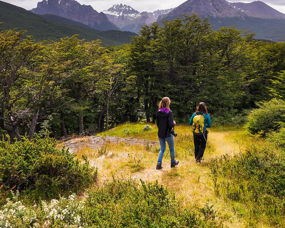 arakur-ski-miniweek-family-plan-desde-ar-1-181-451