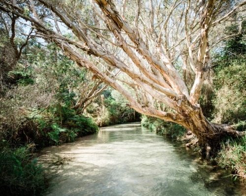 K'gari Explorer Day Tour ex Hervey Bay
