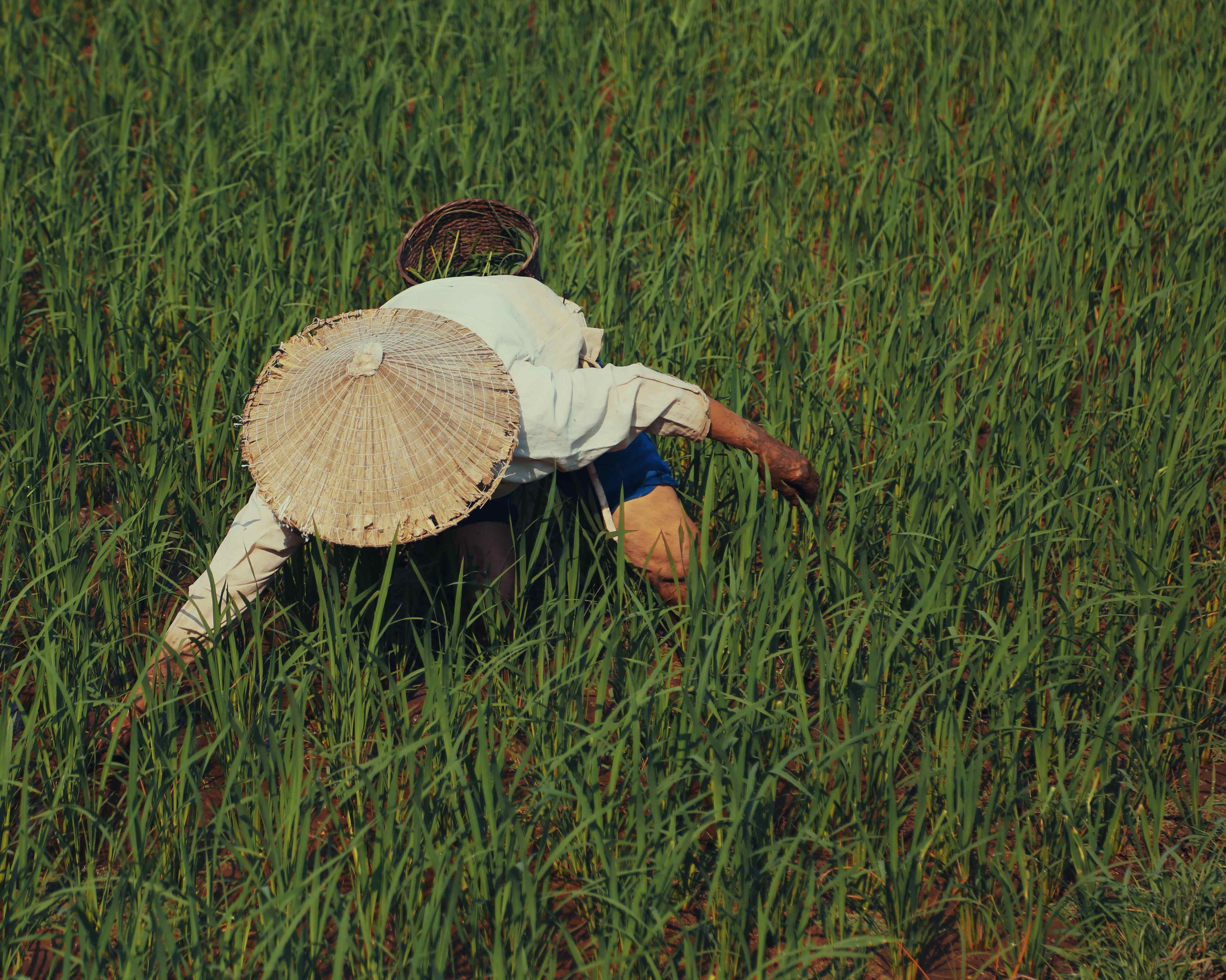 Half Day Biking Tour Discovering Mai Chau from Mai Chau Ecolodge