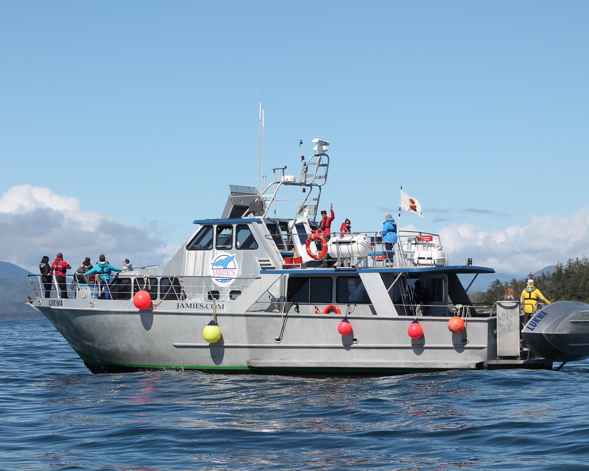 Bear Watching in Uclulet per boot