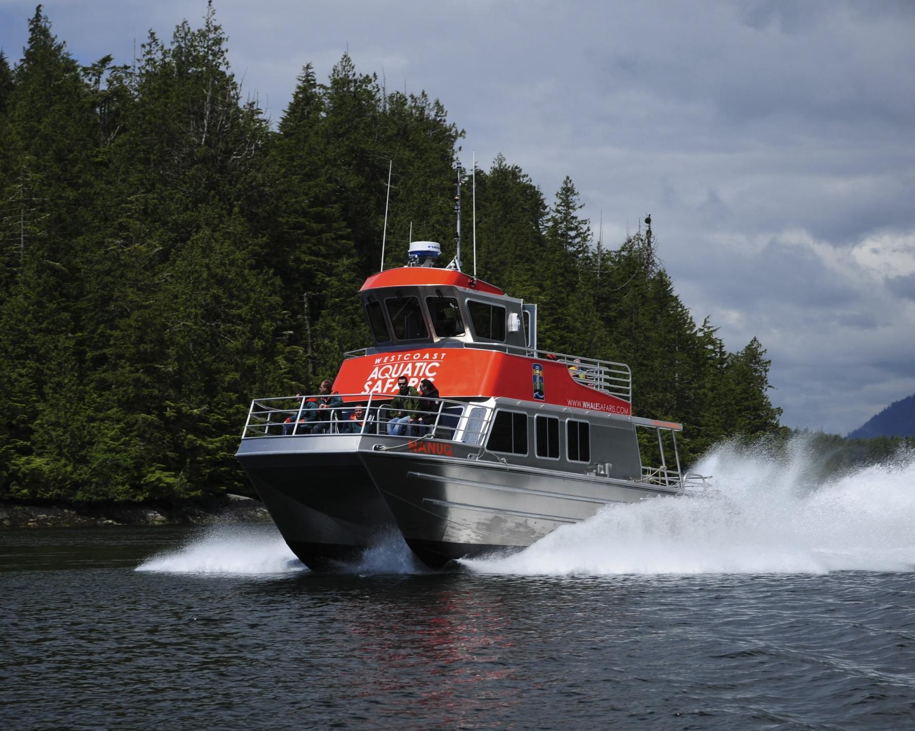 Berenexcursie per zodiac Tofino