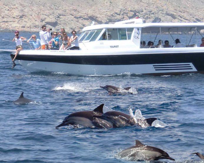 Main tour image for Dolphin Watching Cruise