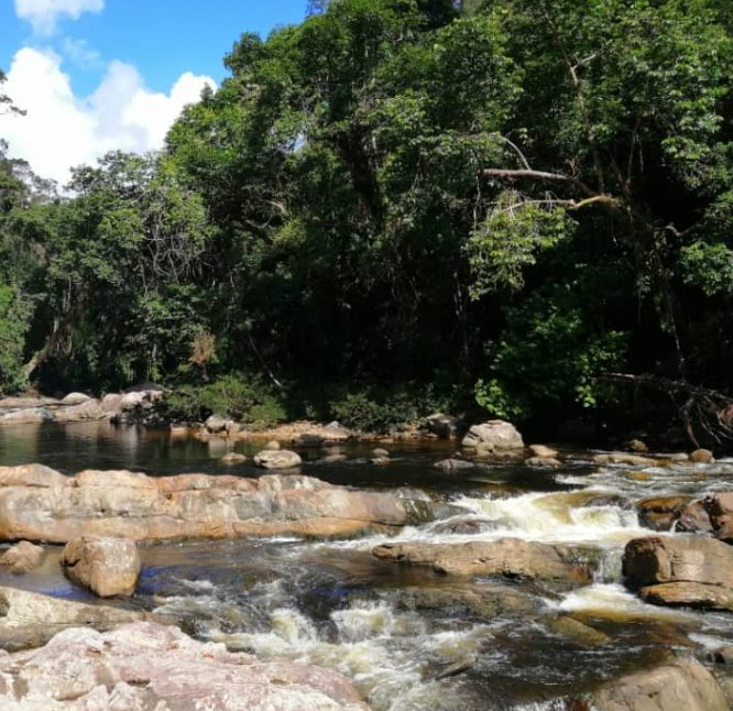 Tahan River Boat Trip (Lata Berkoh & Fish Sanctuary) 