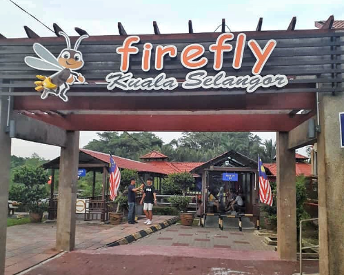 Firefly and Kuala Selangor (Shared Tour)