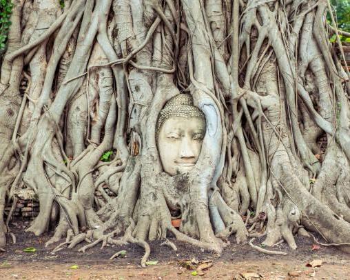 Ayutthaya Explorer By Tuk Tuk with Guide (Private)