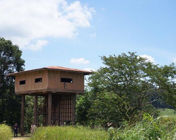 Wildlife Viewing with Trekking Tour (Private)