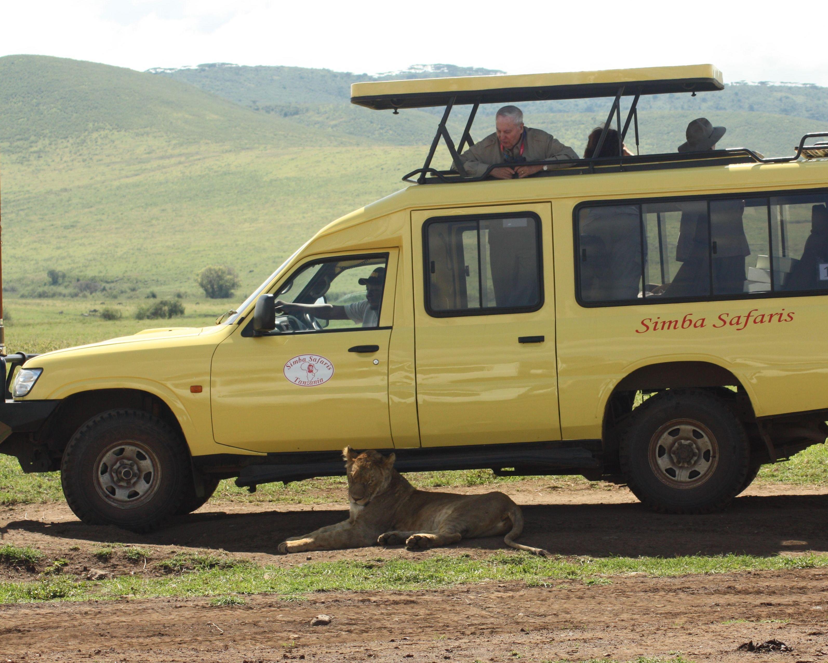 Ngorongoro & Tarangire Safari