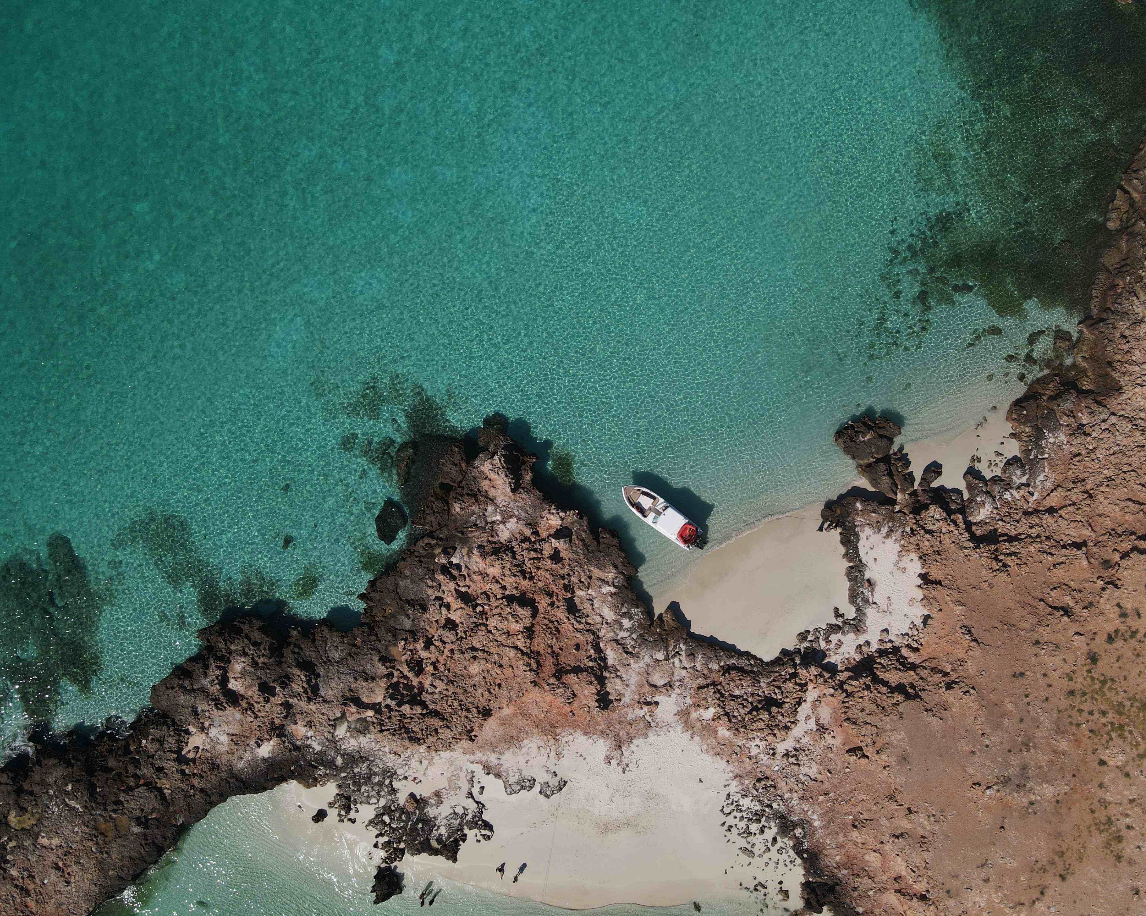 Main tour image for Dimaniyat Island Trip