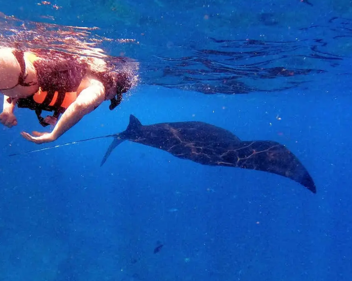 Snorkeling in Nusa Lembongan