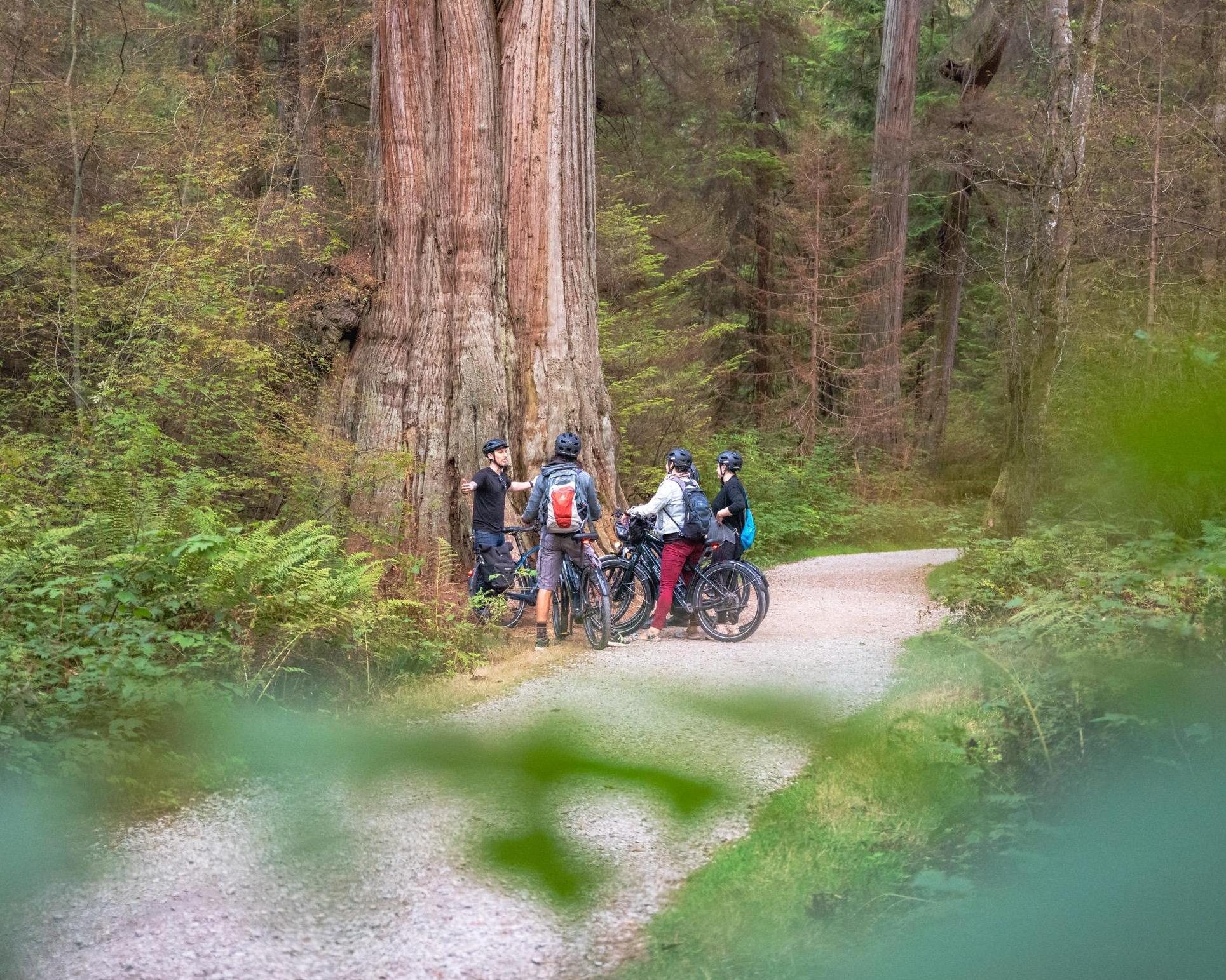 Stanley Park Tour by Bike Vancouver