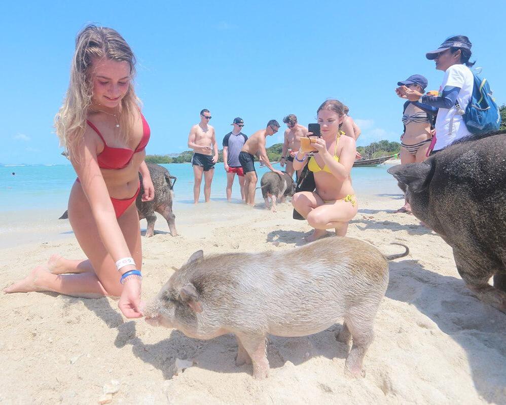 Samui Island Hopping by Private Longtail boat / Speedboat (Koh Tan & Koh Mudsum)