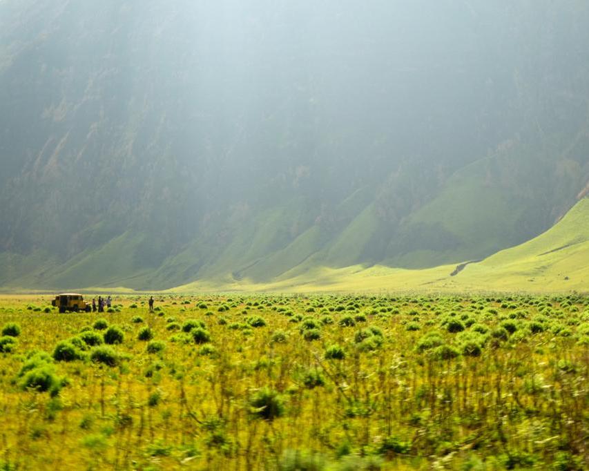 Madakaripura - Bromo Sunrise 2D1N