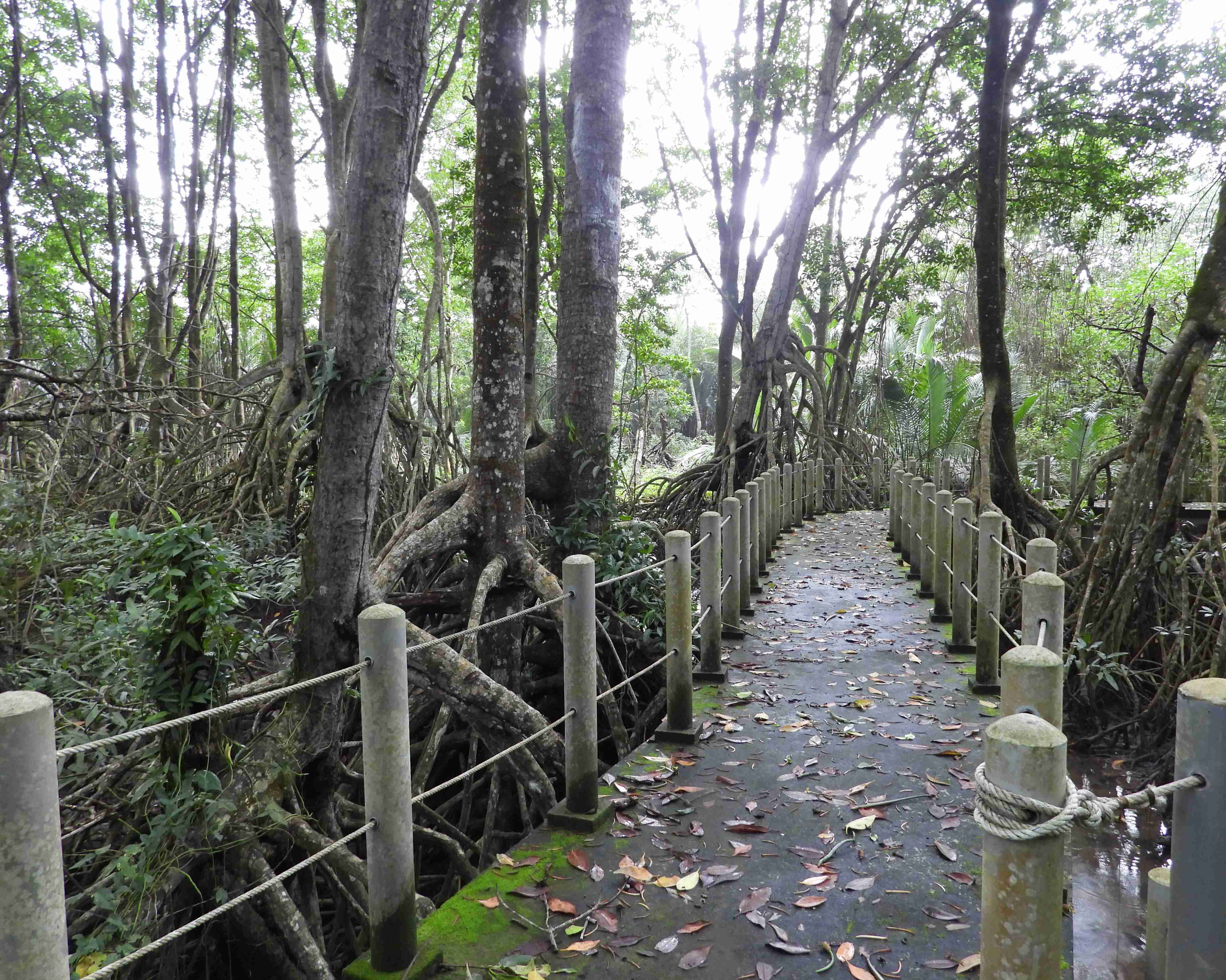 Sungai Lebam River Cruise