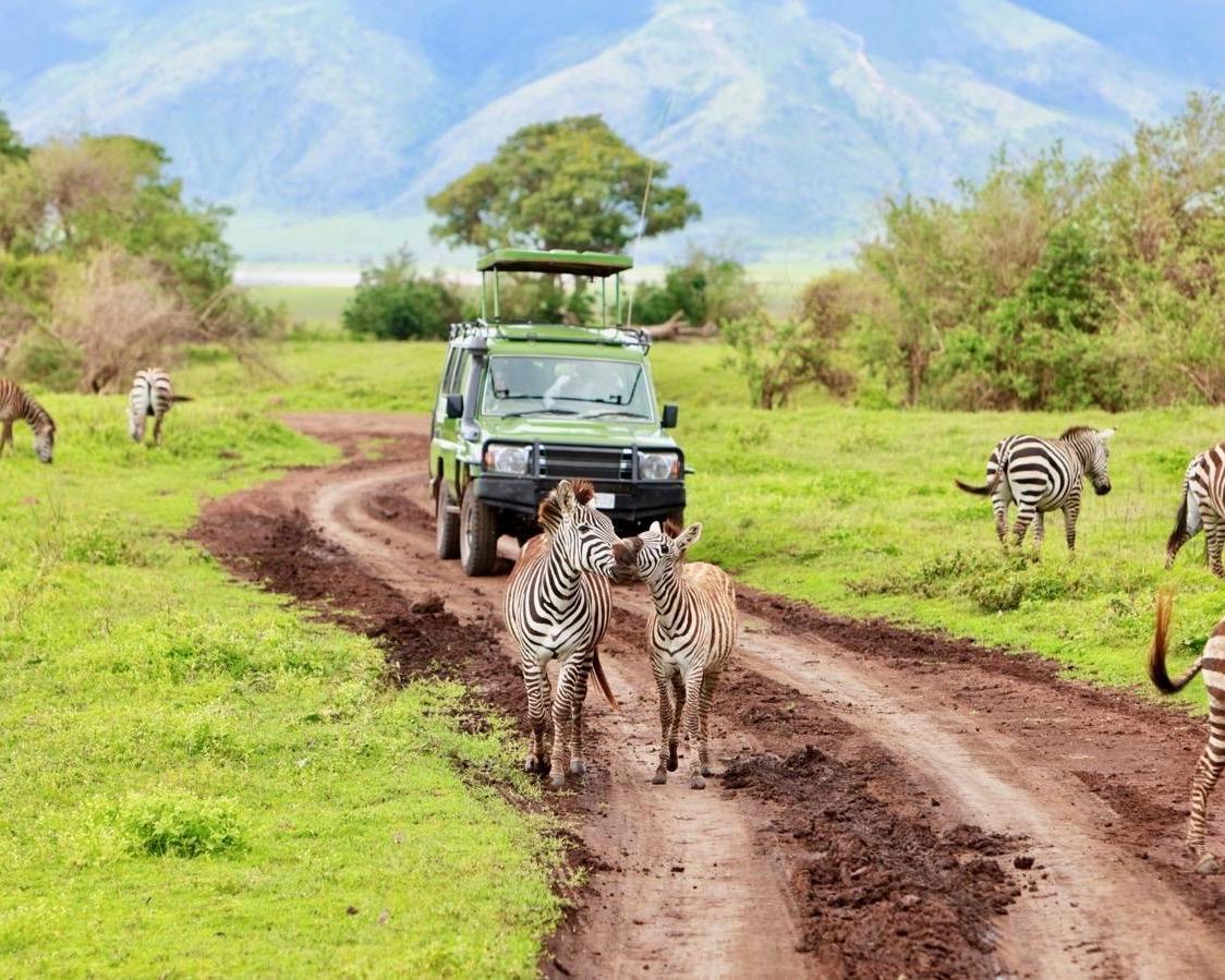 Safari "Highlights von Tansania inkl. Serengeti" (ab/bis Sansibar)