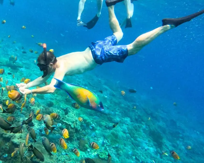 Snorkeling in Nusa Lembongan