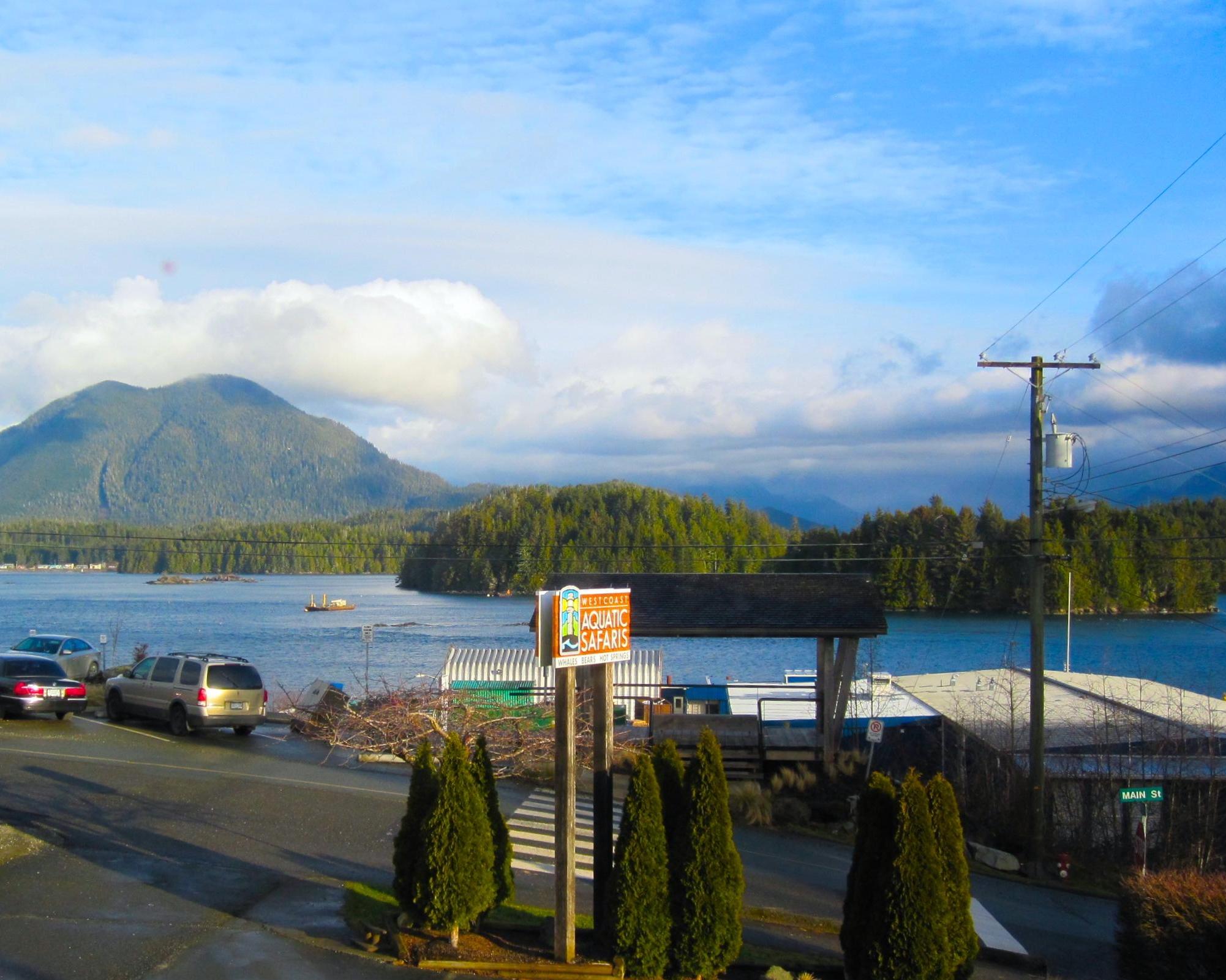 Berenexcursie per zodiac Tofino