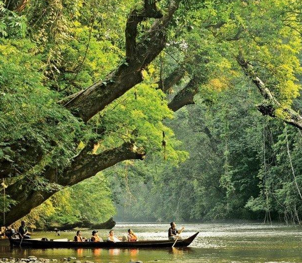 4D3N Explorer Package in Mutiara Taman Negara