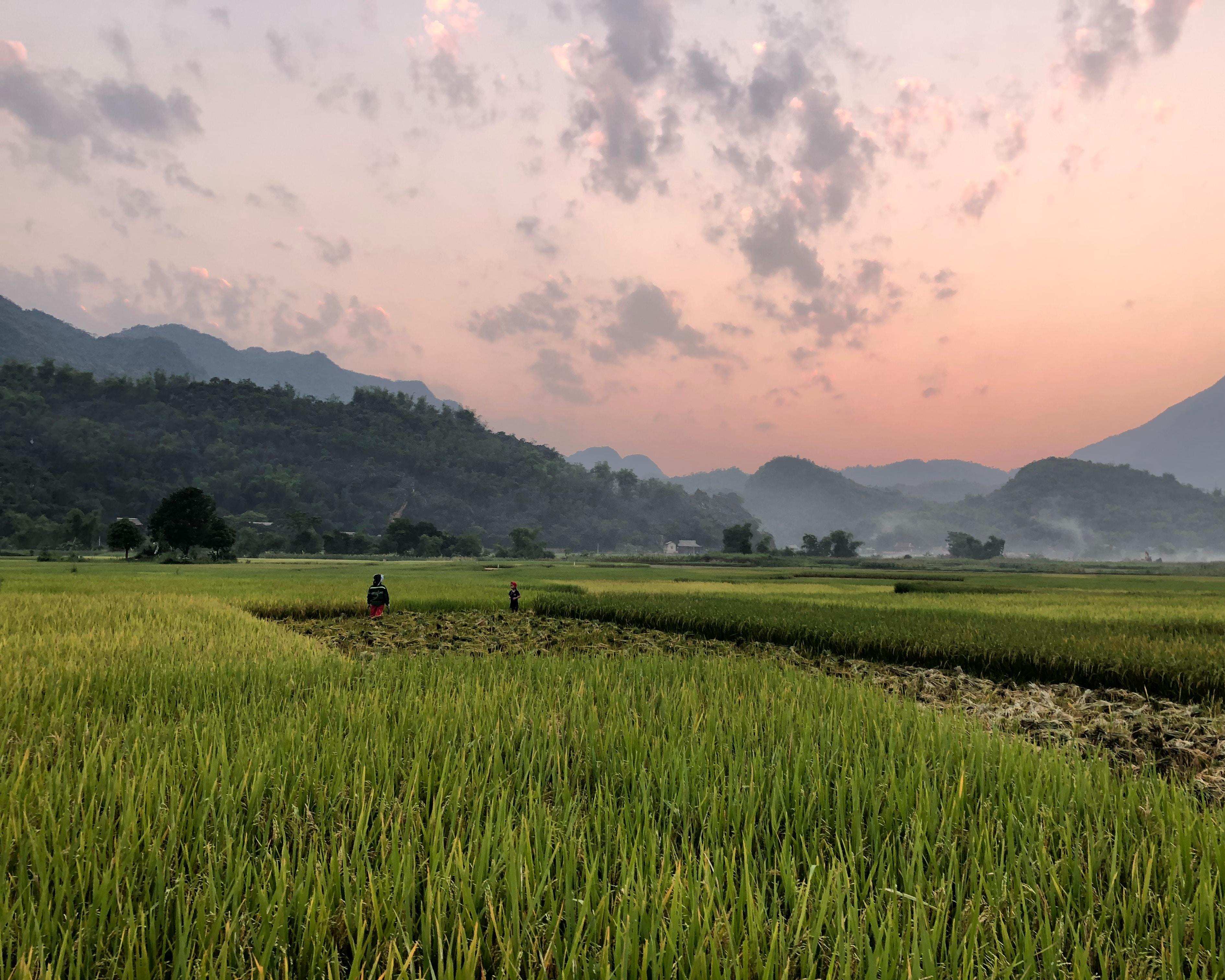 Half Day Biking Tour Discovering Mai Chau from Mai Chau Ecolodge