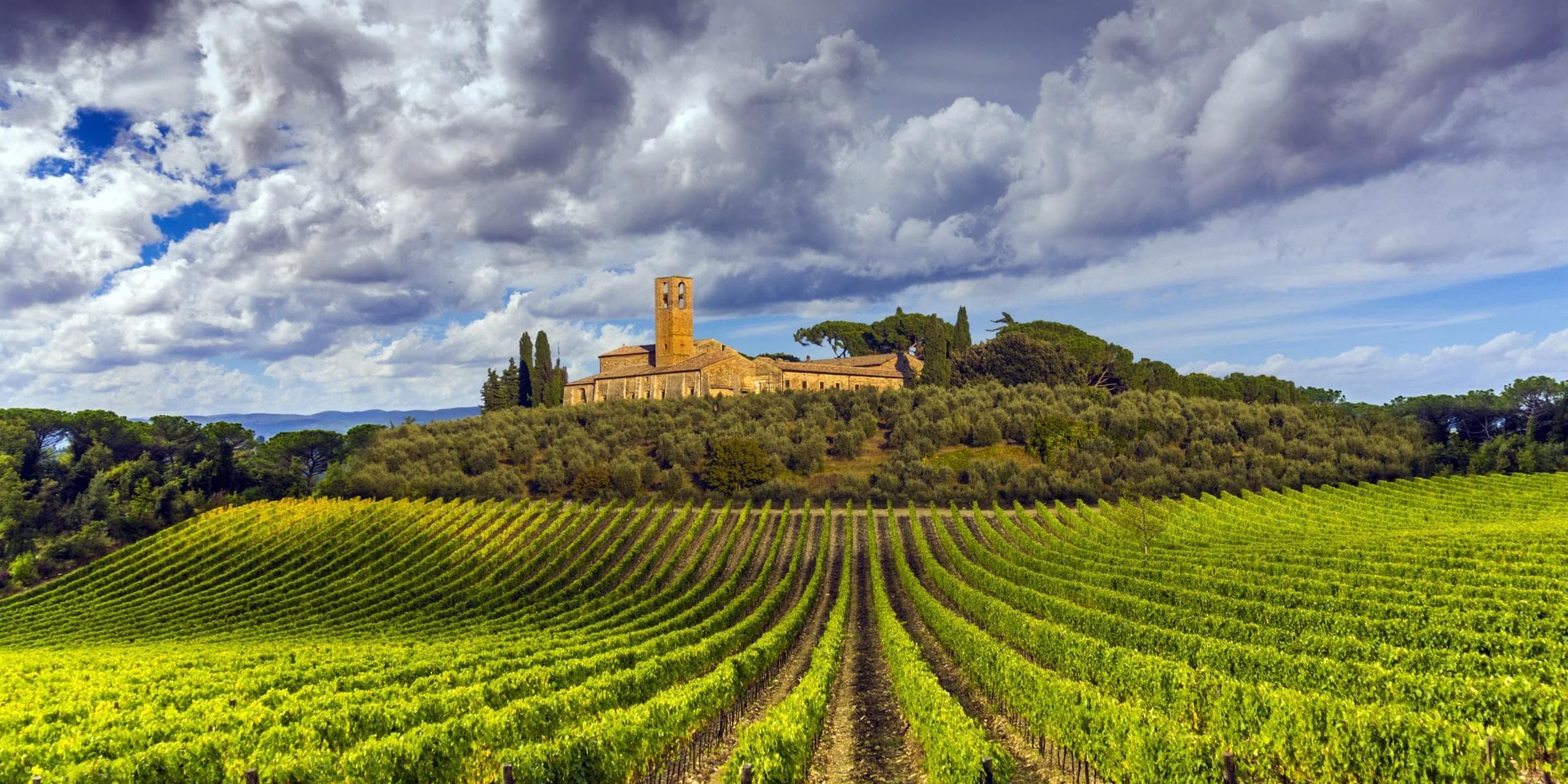 DÍA 3: CHIANTI, FLORENCIA