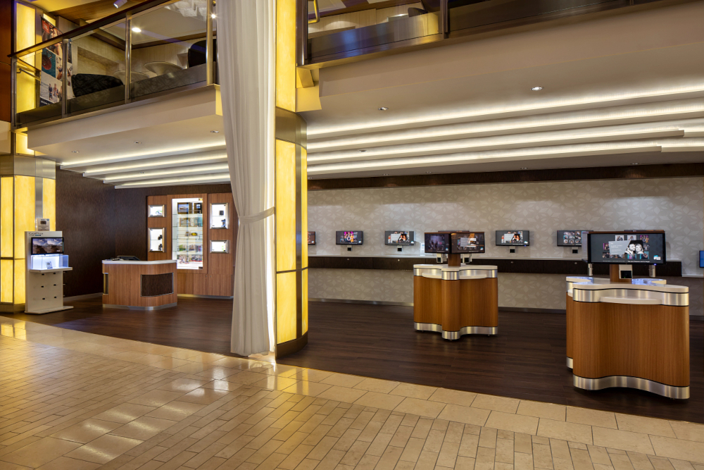 Celebrity Silhouette